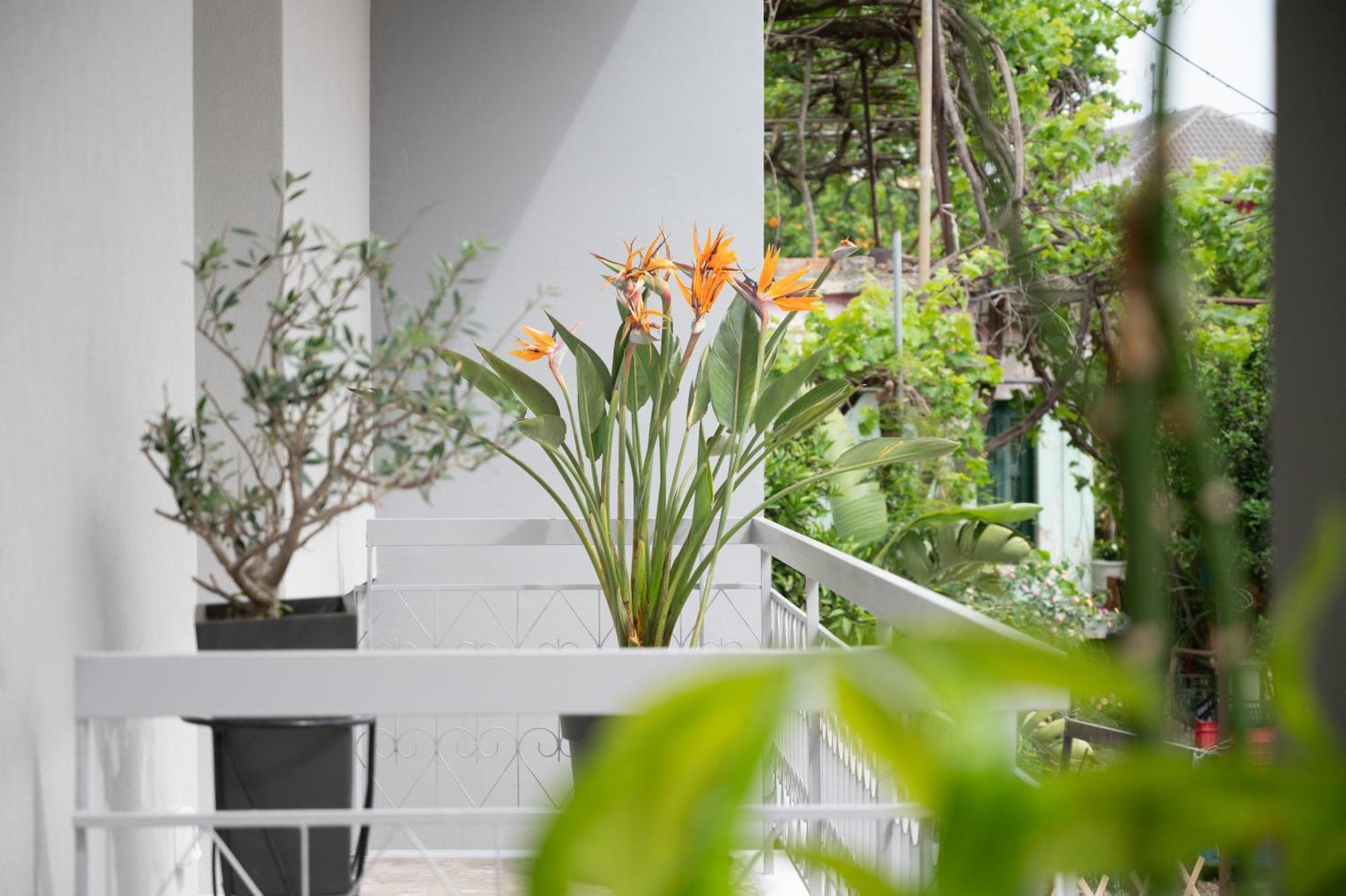 Louisa Luxury Apartments Preveza Eksteriør bilde